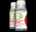 BIOTIQUIN ESPECIAL 125 ml
